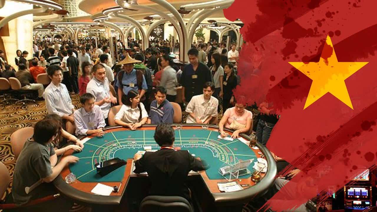 Hướng dẫn tra cứu cchn nhanh chóng và hiệu quả tra cứu cchn dễ dàng